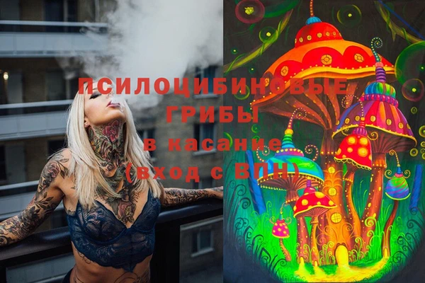 mdpv Бронницы